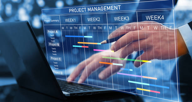 Operational Efficiency and Excellence
